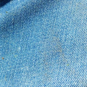 Bush Trimming by Gregory's Affordable Landscaping &amp; More reviewed on December 3, 2025