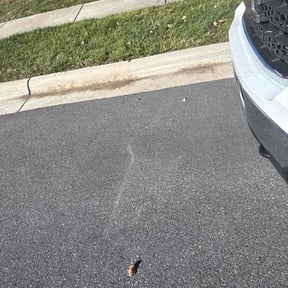 Leaf Removal by CSH lawncare reviewed on December 18, 2025