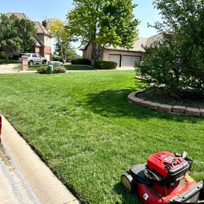 landscaping services by The Lawn Cypress reviewed on November 30, 2025
