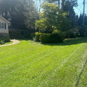 yard service by 5280 Lawns Llc reviewed on May 17, 2024