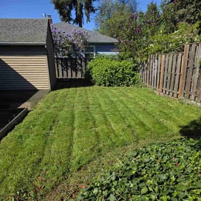 turf maintenance by Dylan&#039;s fresh cut reviewed on June 12, 2024