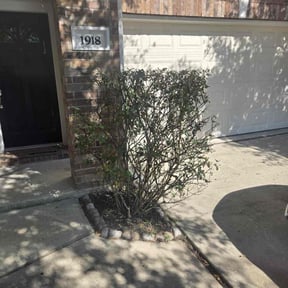 Bush Trimming by Year Round Landscape Services reviewed on November 9, 2025