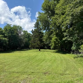 yard care by Grateful Green Lawn Care reviewed on November 21, 2025