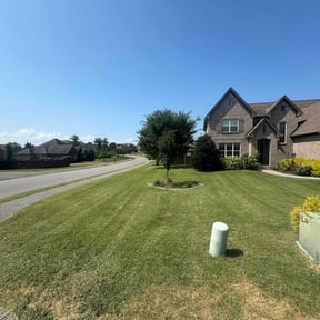 lawn care by Millionaire Lawn Care reviewed on July 10, 2025