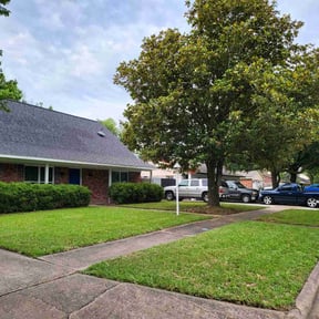 Long Grass Cleanup by Frederickson Lawn Management reviewed on March 13, 2024