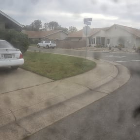 Leaf Removal by Mr. Larrys Yard Maintenance LLC reviewed on September 29, 2025