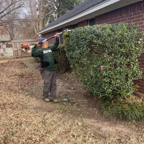 Bush Trimming by Kiki's lawn care reviewed on August 21, 2025