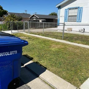 lawn care by Green Magic Lawn Care reviewed on March 13, 2024