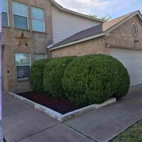 Bush Trimming by Jero's Landscape reviewed on December 7, 2025