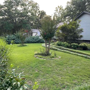 yard work by Freedom Services reviewed on August 13, 2025