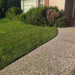 yard care by E&E Landscaping Inc. reviewed on August 17, 2025