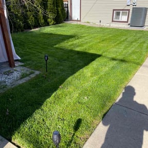 lawn care by Arocho Landscaping reviewed on August 19, 2025