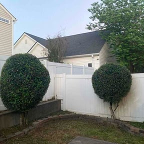 Bush Trimming by We Do It All Lawn Services reviewed on April 21, 2026