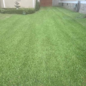 gardening service by Perspective Solutions LLC reviewed on November 24, 2025