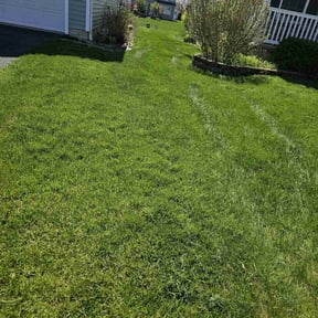 landscaping by Archi&#039;s Lawn Care reviewed on December 4, 2023