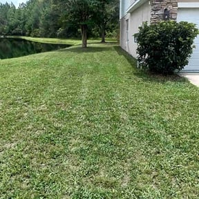 lawn care services by The Whole Nine Yards reviewed on August 19, 2025