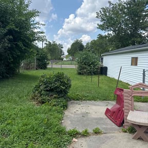 Bush Trimming by D&amp;k Taylor lawn care reviewed on November 21, 2025