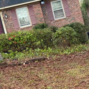 Bush Trimming by North Georgia Landscaping Group LLC reviewed on March 16, 2026