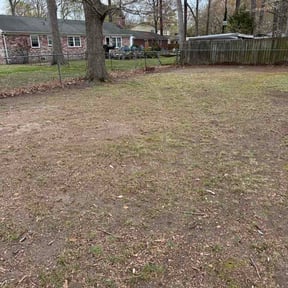 Leaf Removal by Ultimate Landscape Contractor reviewed on August 19, 2026