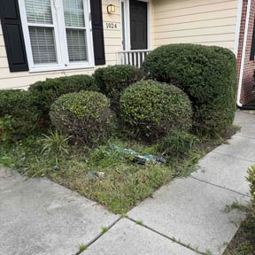 Bush Trimming by J&amp;S lawn care and property maintenance. reviewed on August 5, 2026