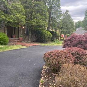 Bush Trimming by Chai reviewed on August 6, 2022