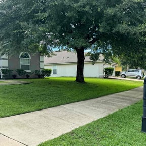 yard maintenance by B.l.s lawn service reviewed on August 17, 2025