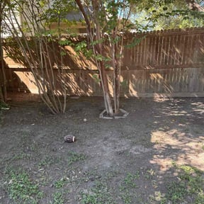 Leaf Removal by Garrett’s Lawn Care reviewed on November 6, 2025