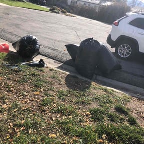 Leaf Removal by K.G.M SERVICES LLC. reviewed on November 10, 2025