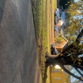 Leaf Removal by Mainline Lawn Care reviewed on December 3, 2025