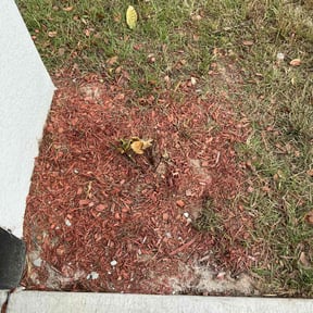 Flower Bed Weeding by HI-POWER LLC reviewed on October 15, 2021