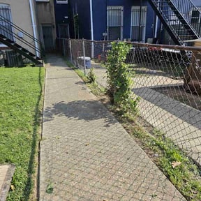 Bush Trimming by Calvin's Lawncare reviewed on August 16, 2025