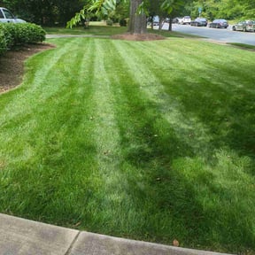 yard maintenance by Forever Green FG LLC reviewed on September 3, 2024