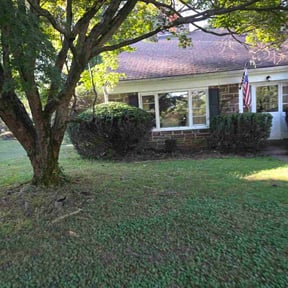 Bush Trimming by K&amp;Z Lawn and Landscaping reviewed on October 19, 2025