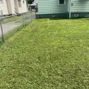 Leaf Removal by Weed Whackers reviewed on September 20, 2025