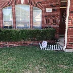 Bush Trimming by The Landscaping Neatniks reviewed on November 23, 2025