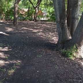 Leaf Removal by Thomas Enterprise LLC reviewed on September 9, 2025