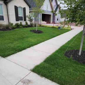 yard service by Fortex Lawn Care reviewed on December 18, 2025
