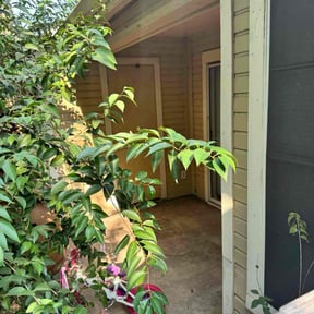 Leaf Removal by RTH Lawn Service &amp; Landscaping LLC reviewed on November 7, 2025