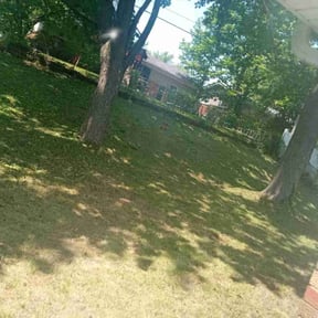 Leaf Removal by Alfas landscaping reviewed on September 30, 2025