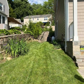 residential landscaping by Vázquezlawn reviewed on August 20, 2025