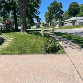 yard service by WesleyBrothers lawn care LLC reviewed on November 24, 2025