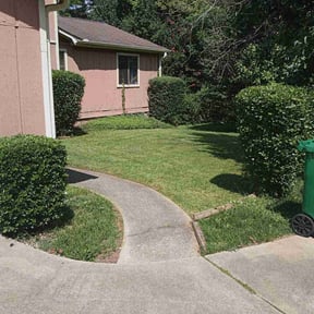 Bush Trimming by Allen's Lawn Care reviewed on August 14, 2025