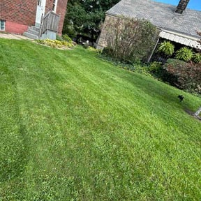 Bush Trimming by D's lawn care reviewed on August 21, 2026