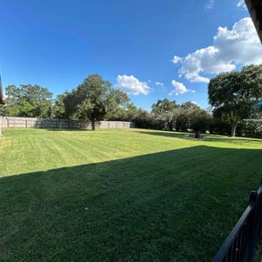 yard work by The lawn goat llc reviewed on November 21, 2025