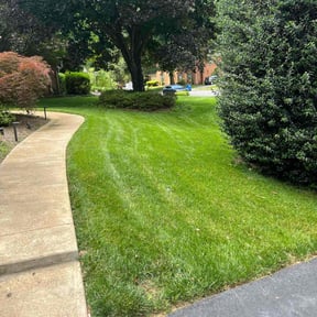 lawn care by W. D. Giampa Lawn &amp; Landscapes, INC. reviewed on August 18, 2025