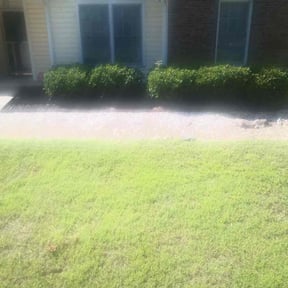 Flower Bed Weeding by Quality Pro. Construction reviewed on August 15, 2025