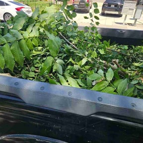Bush Trimming by Crews Lawn Care reviewed on May 23, 2026