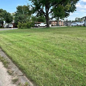 turf care by Andersen landscaping llc reviewed on August 21, 2023