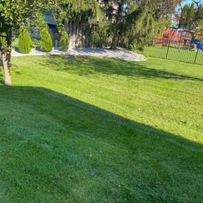 turf care by CB lawn maintenance reviewed on May 20, 2025