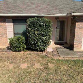 Bush Trimming by Trim de Busche reviewed on November 10, 2025